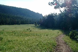 The meadow at Lover's Leap Camp